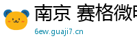 南京 赛格微电子科技有限公司